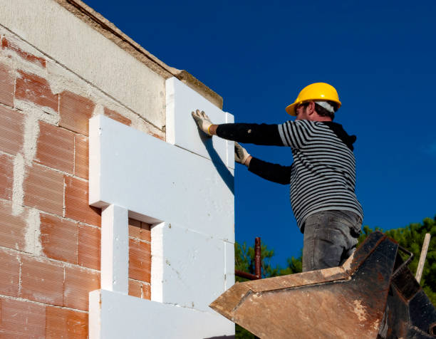 Best Professional Insulation Contractor  in George, IA